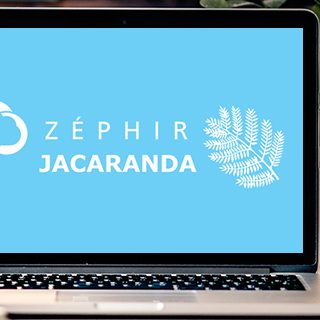 jacaranda