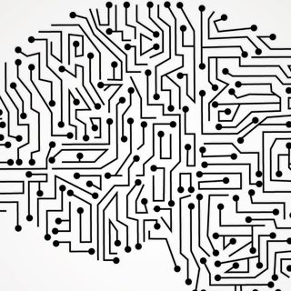 brain